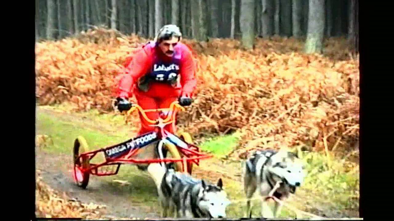 Siberian Husky racing - Labatts Championship early 1990's - YouTube