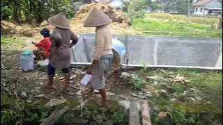 Budaya tandur diblunyah bersama ibu -ibu yang luar biasa.