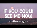 If You Could See Me Now - The Script (Lyrics) 🎵