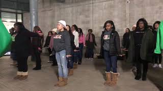 Alpha Kappa Alpha Sorority Inc. Founders Day Performance 2019