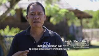 Interface | Net Effect | EARTH MATTERS Net Worth