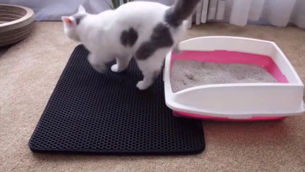 Trap Kitty Litter Mat Cat Dog Puppy Pet Extra Large Black 2 Double Layer Waterproof