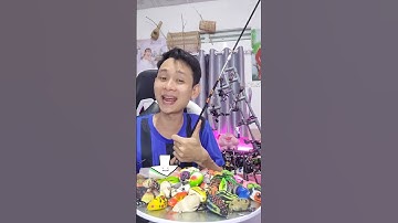 CẦN CÂU SHIMANO 2 KHÚC ĐẶC 58K DÀNH CHO NGƯỜI MỚI #thanhdang2 #moicaulure #combocaulure