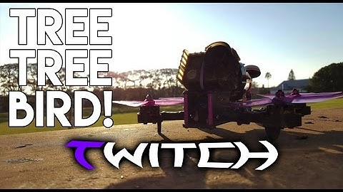 Tree Tree Bird | FPV Freestyle | Betaflight Anti Gravity