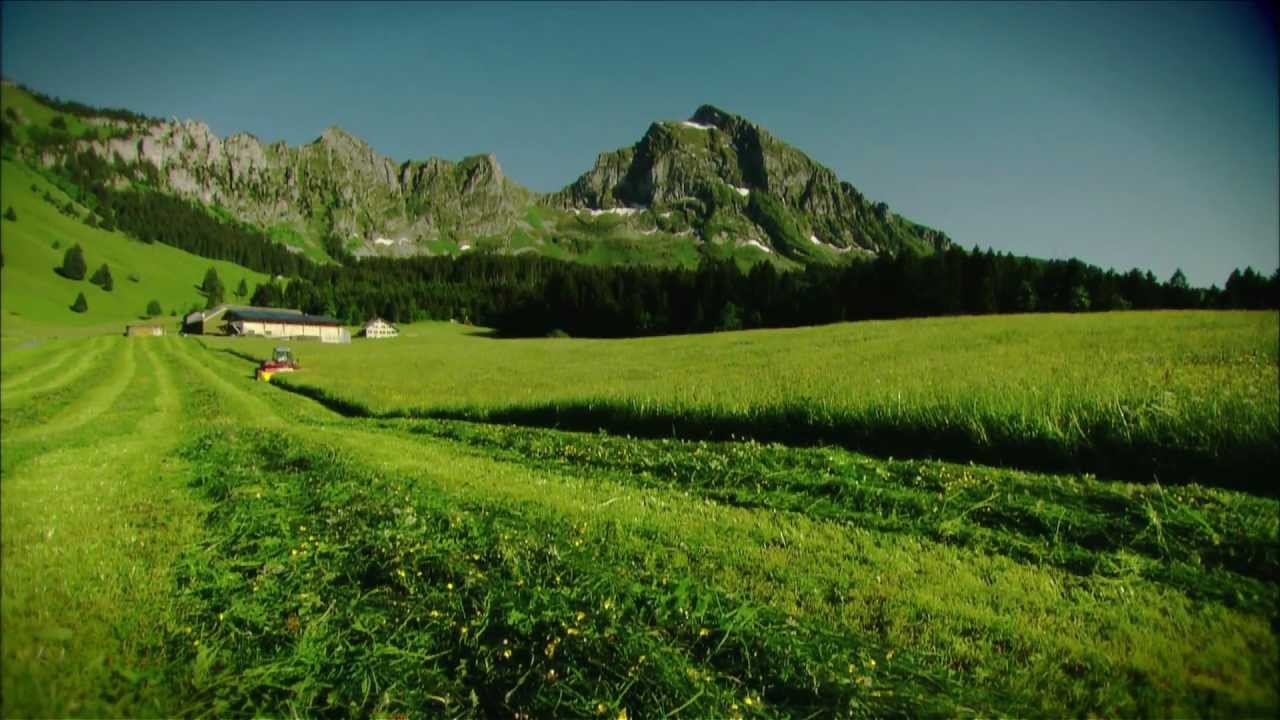 PÖTTINGER Alpin Programm