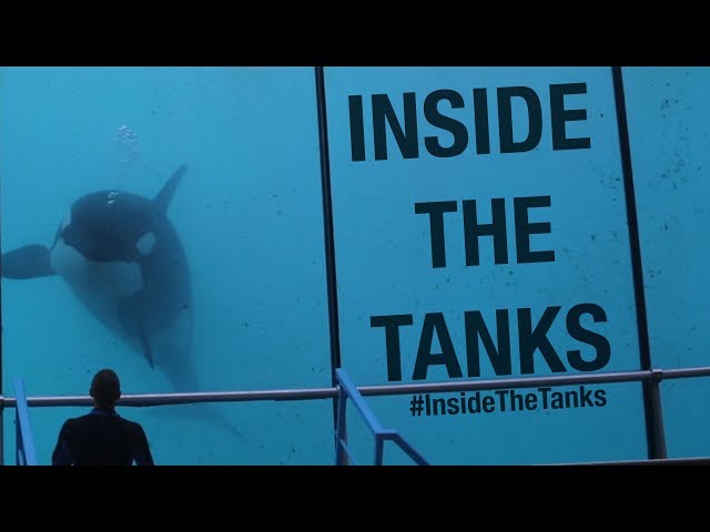 Inside The Tanks (Full Documentary)