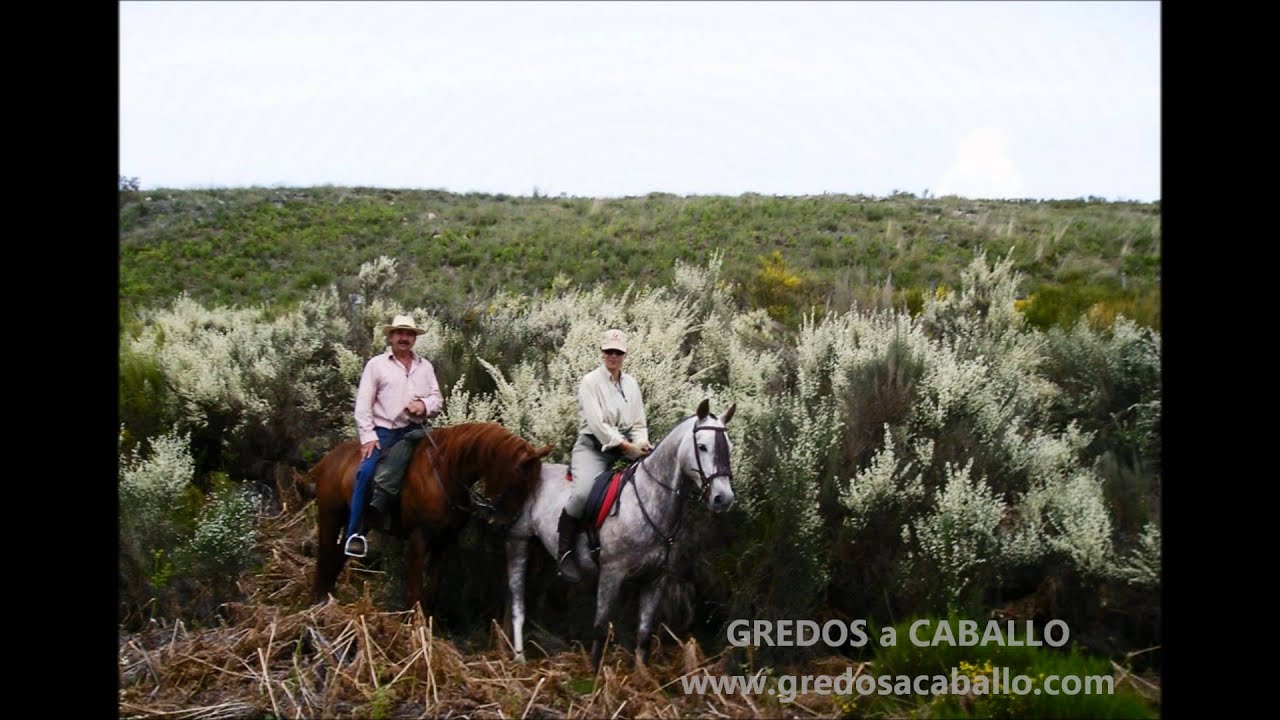 Esto es GREDOS a CABALLO