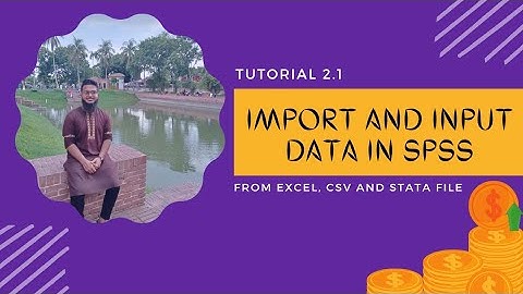 Import data from excel, CSV and STATA file and Input data in SPSS | SPSS Data Analysis |Tutorial 2.1