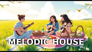 Ultimate Chill Vibes  Relaxing Melodic House Compilation