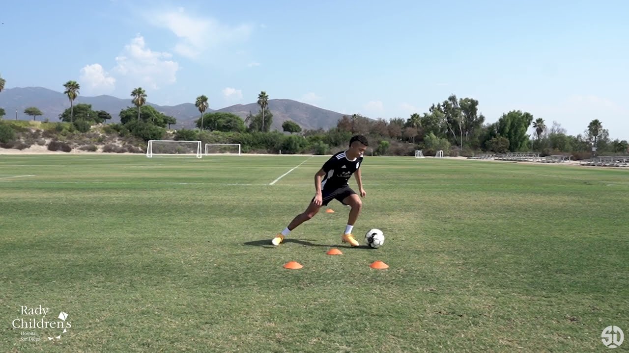 SD Loyal Training Drills | Stepover