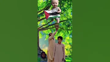Love Funny Music Song Live Dearshahidali Dearshahnawazali Islamgojoltv Officialarmaan 