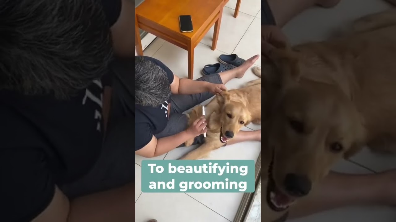 Koparo’s floor cleaner range