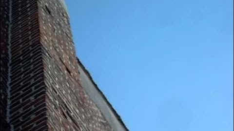 gierzwaluwen!spectaculair!fantastisch!