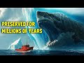 Frozen Monster Discovered — Could It Be a MEGALODON?
