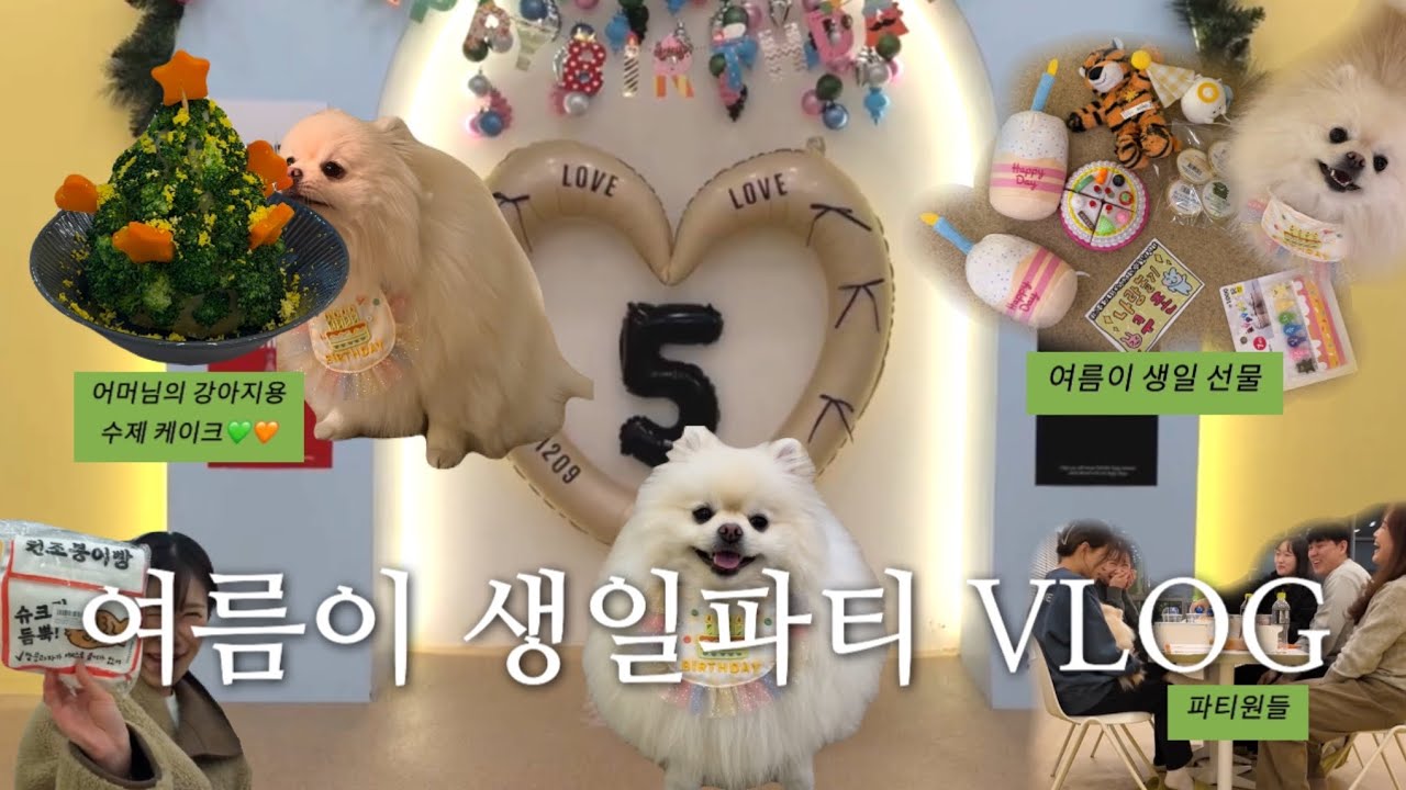[vlog] 여름이 생일파티 브이로그 | 수원애견카페 | 퍼피라떼 | 애견생일파티 | 강아지케익