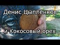 Как тренировать пальцы армрестлинг Денис Цыпленков и орехи