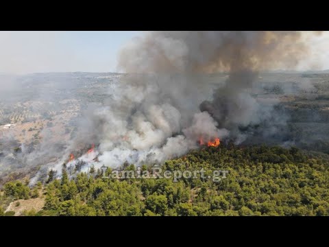 LamiaReport.gr: Η φωτιά στον Θεολόγο από drone