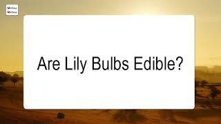 Are Lily Bulbs Edible