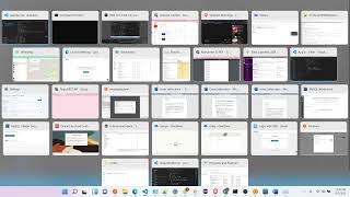 SER 515 | Assignment API