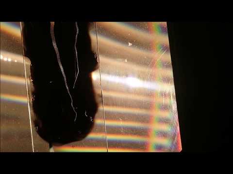 Akustik-Experiment (Physik): Stimmgabel-Schwingung auf Rußplatte