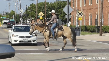 Docs Dualn Pep - riding in downtown! - ValleyViewRanch.net