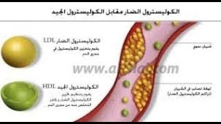 علاج الدهون الثلاثية بالأعشاب