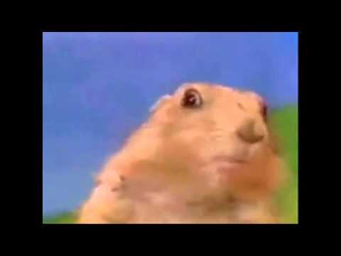 [Short Version] Dramatic Chipmunk #shorts
