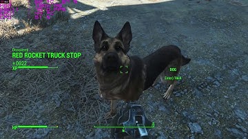 Fallout 4 Gameplay Fx 6300 R9 280