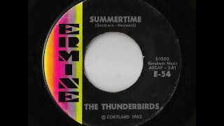 Video thumbnail of "The Thunderbirds - Summertime (Ermine)"