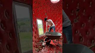 Title🍓 Amazing Strawberry House Transformation | Creative Mini House Build in Nature 😍#shorts