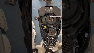 IMG 4653