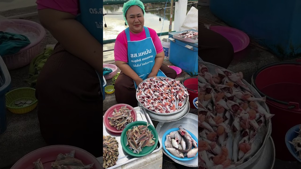 เดินตลาดริมคลองลำปำ #ตลาดริมคลองลําปํา #พัทลุง #ของดีบอกต่อ