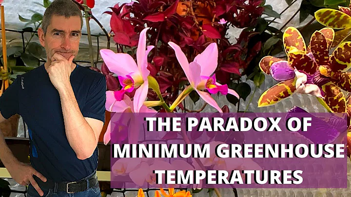 THE PARADOX OF MINIMUM GREENHOUSE TEMPERATURES - DayDayNews