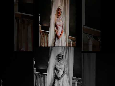 اغنية شباكنا ستايرة حرير