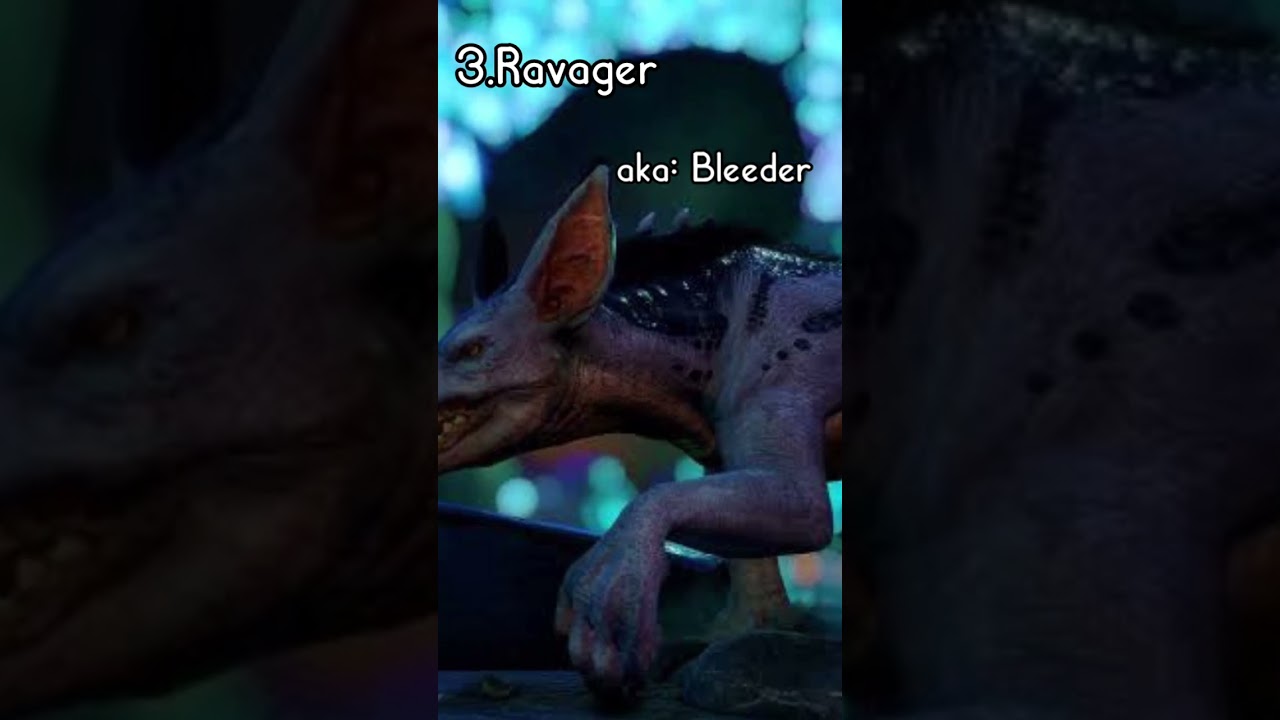 Have You Guessed the Number One Yet?||Pack hunters 