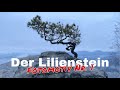 Der Lilienstein im Elbsandsteingebirge Fotomotiv Nr. 1