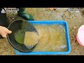 Amazing Gold Search in the Stream, Gold Extraction Process with Sluice Machine