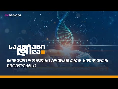 რომელი ფონდები აფინანსებენ ხელოვნურ ინტელექტს?