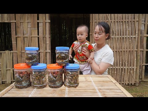 Single mother scoops fish during flood season to make fish sauce and eat snakes and fish