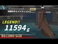伝説のレジェンダー