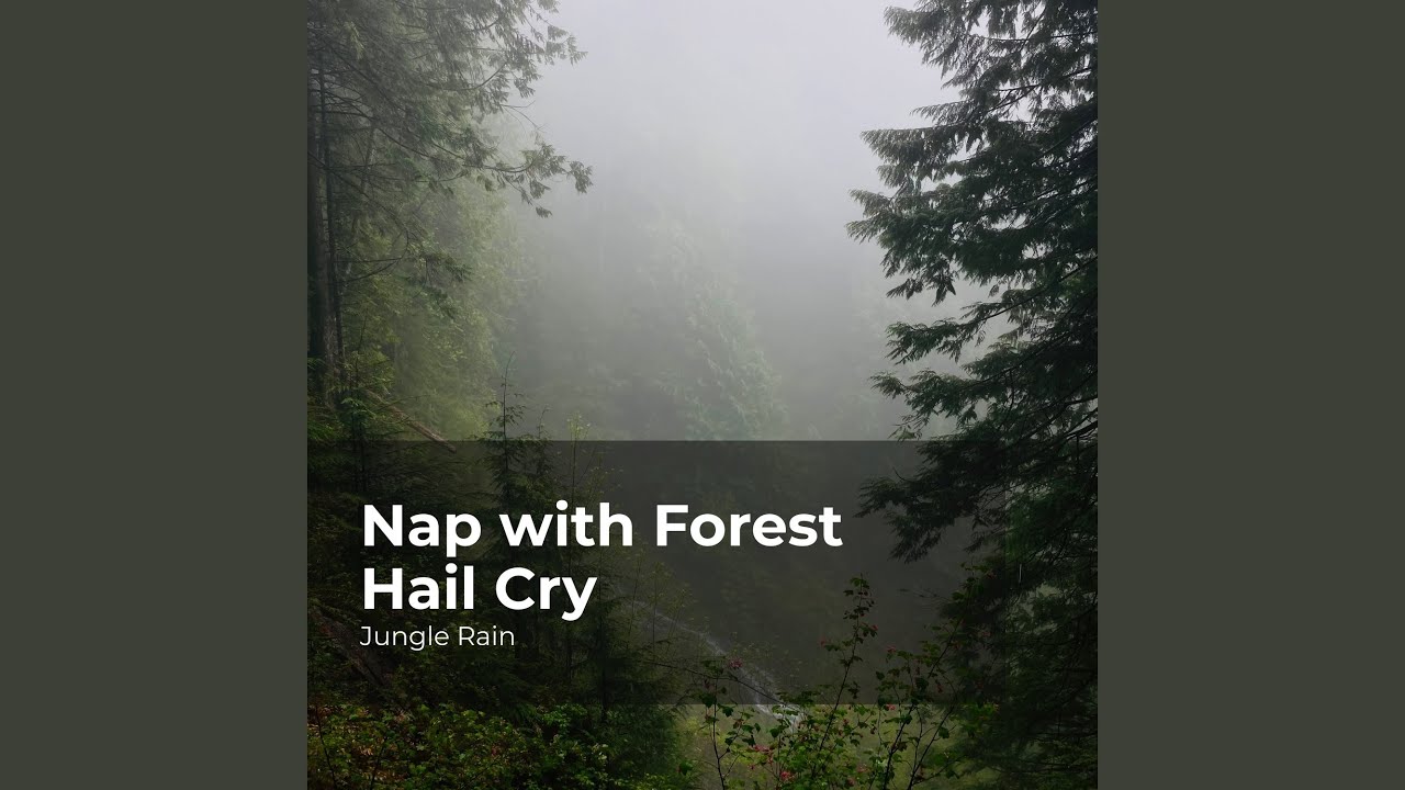 Bushy Woodland Rain YouTube