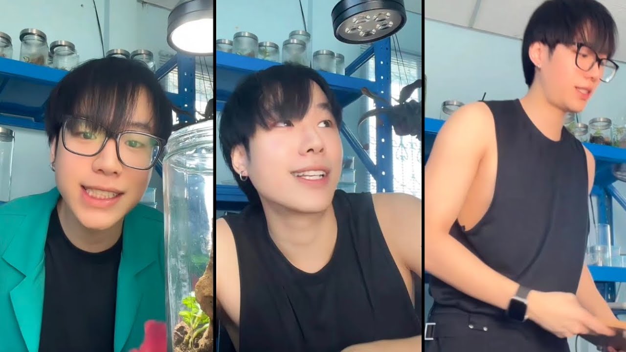 seng Live TikTok - YouTube