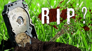 Jason Bytes Back Ep. 70 - Shucking drives dead? Plex to sell? Questions..