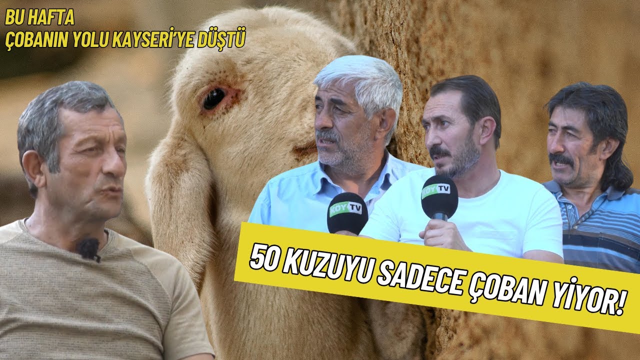 KAYSERİ'DE KANGAL KOYUNU YETİŞTİRİCİLİĞİ I ÇOBANIN YOLU