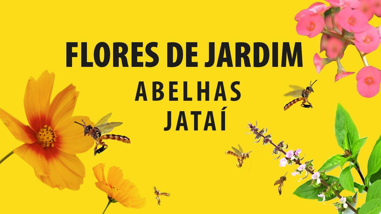 PLANTAS de JARDIM que atraem abelhas JATAÍ - thptnganamst.edu.vn