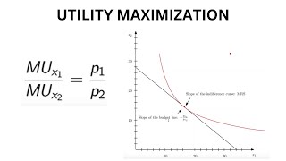 Famous Utility Maximization: Lagrange Method | Mathematical Approach to Consumer Behavior in Microeconomics Wealth
