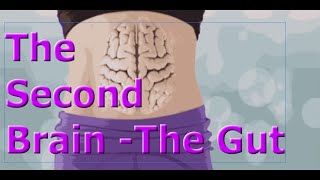 The Second Brain