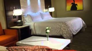 Renaisance Orlando at Sea World r A Marriott Luxury