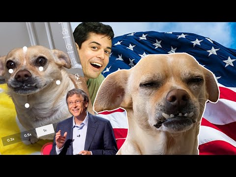 I TURNED MY DOG INTO A PROBLEMATIC TIKTOK INFLUENCER 🐶