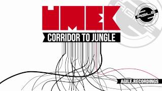 UMEK - Flashback To Another Place (Original Mix) [Agile Recordings]